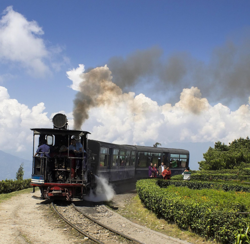 Darjeeling Toy Train trains passing through a green tea plantation with cloudy blue skies.