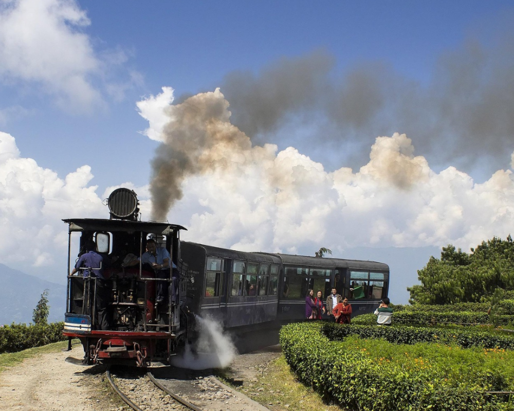 Darjeeling Toy Train trains passing through a green tea plantation with cloudy blue skies.
